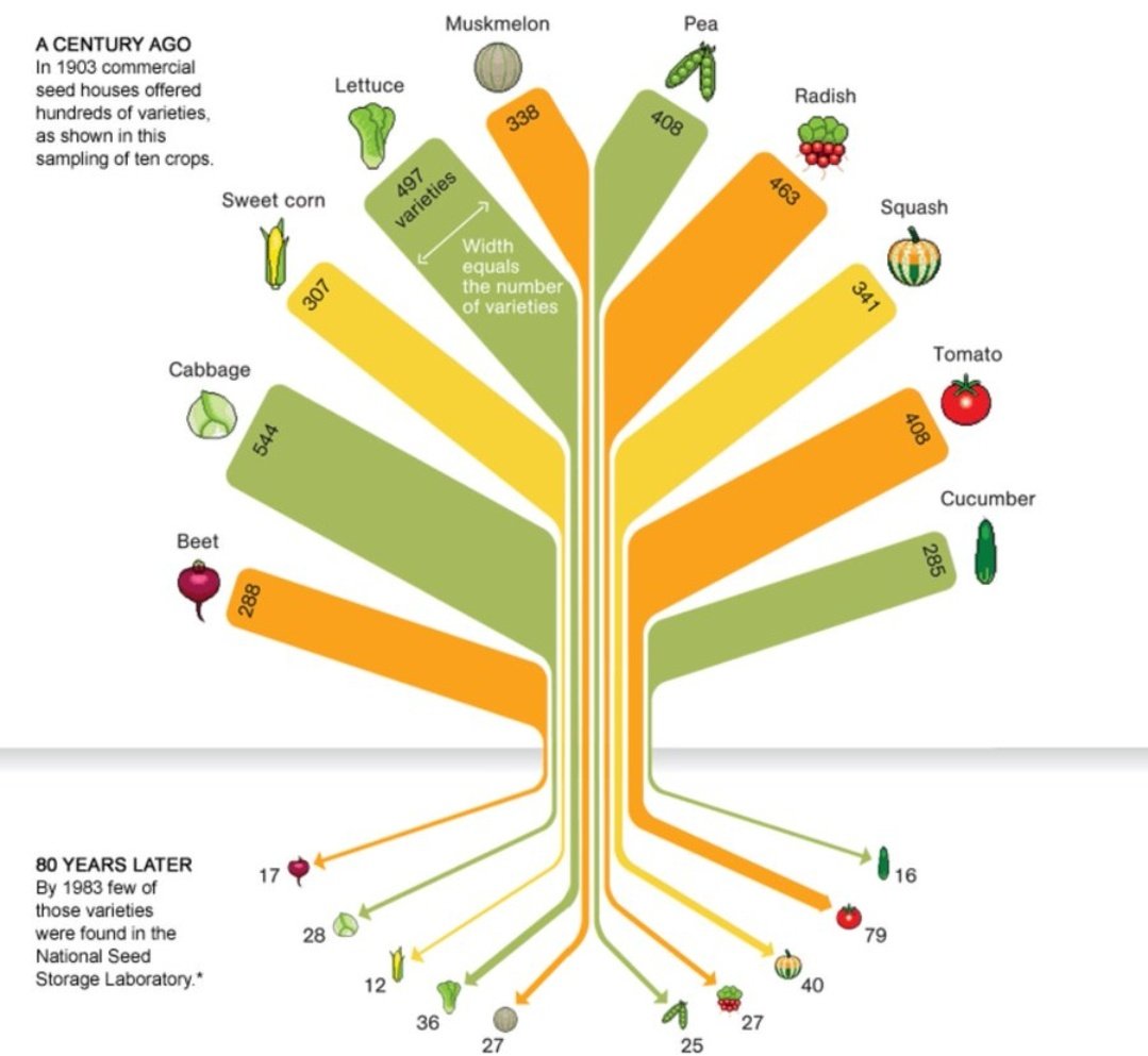 La pèrdua de biodiversitat agrària és un problema greu. Només conreem una petita part de les espècies que ens alimentaven fa uns anys.