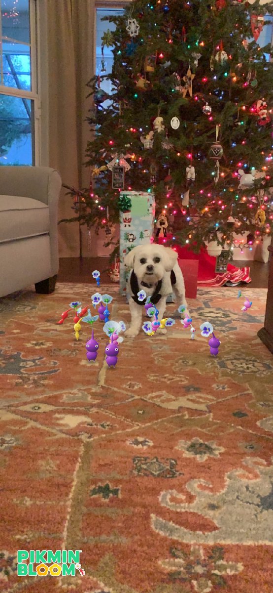 _RyanMorse_'s tweet photo. @PikminBloom #HolidayWithPikmin https://t.co/selB2TIrR9