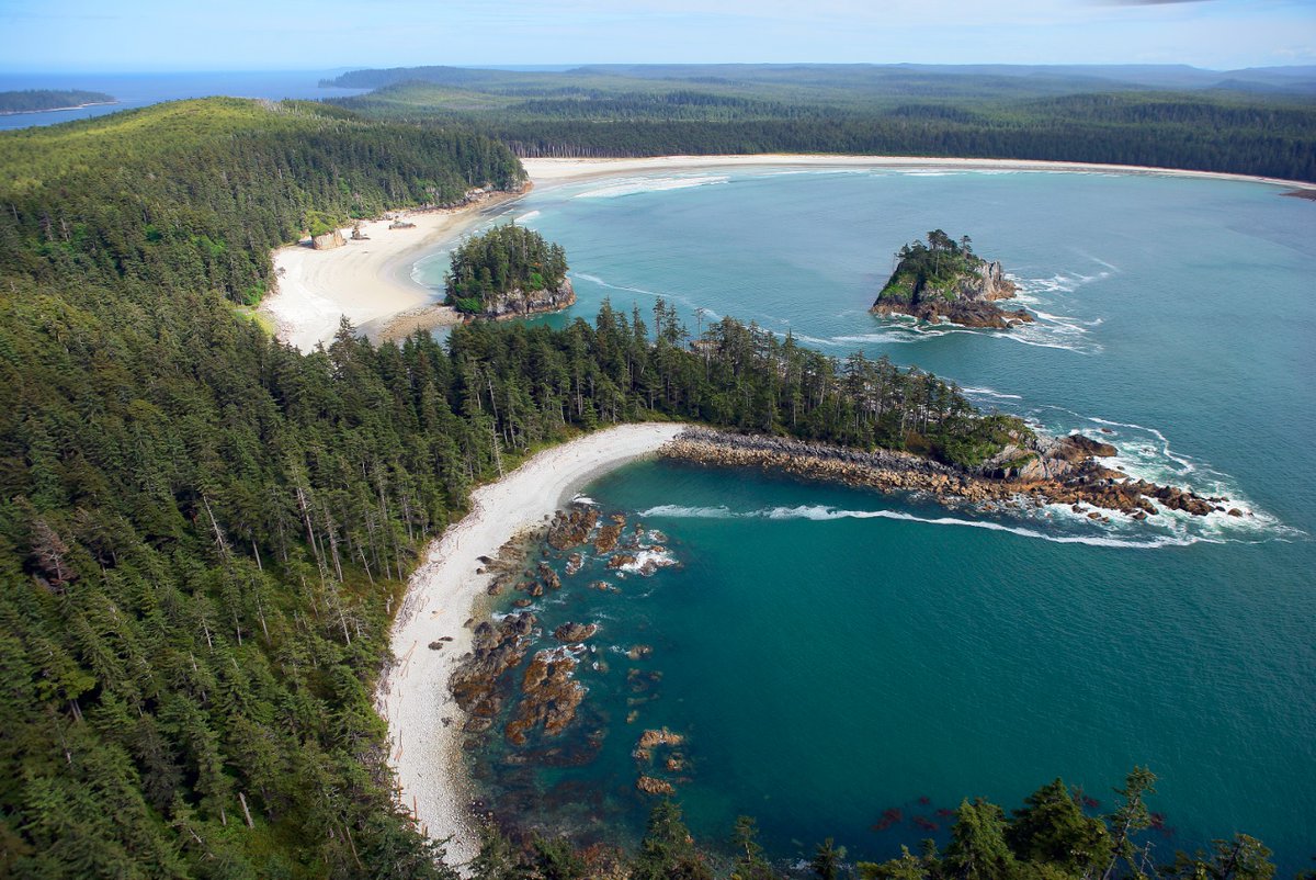 The West Coast Fishing Club tweet media