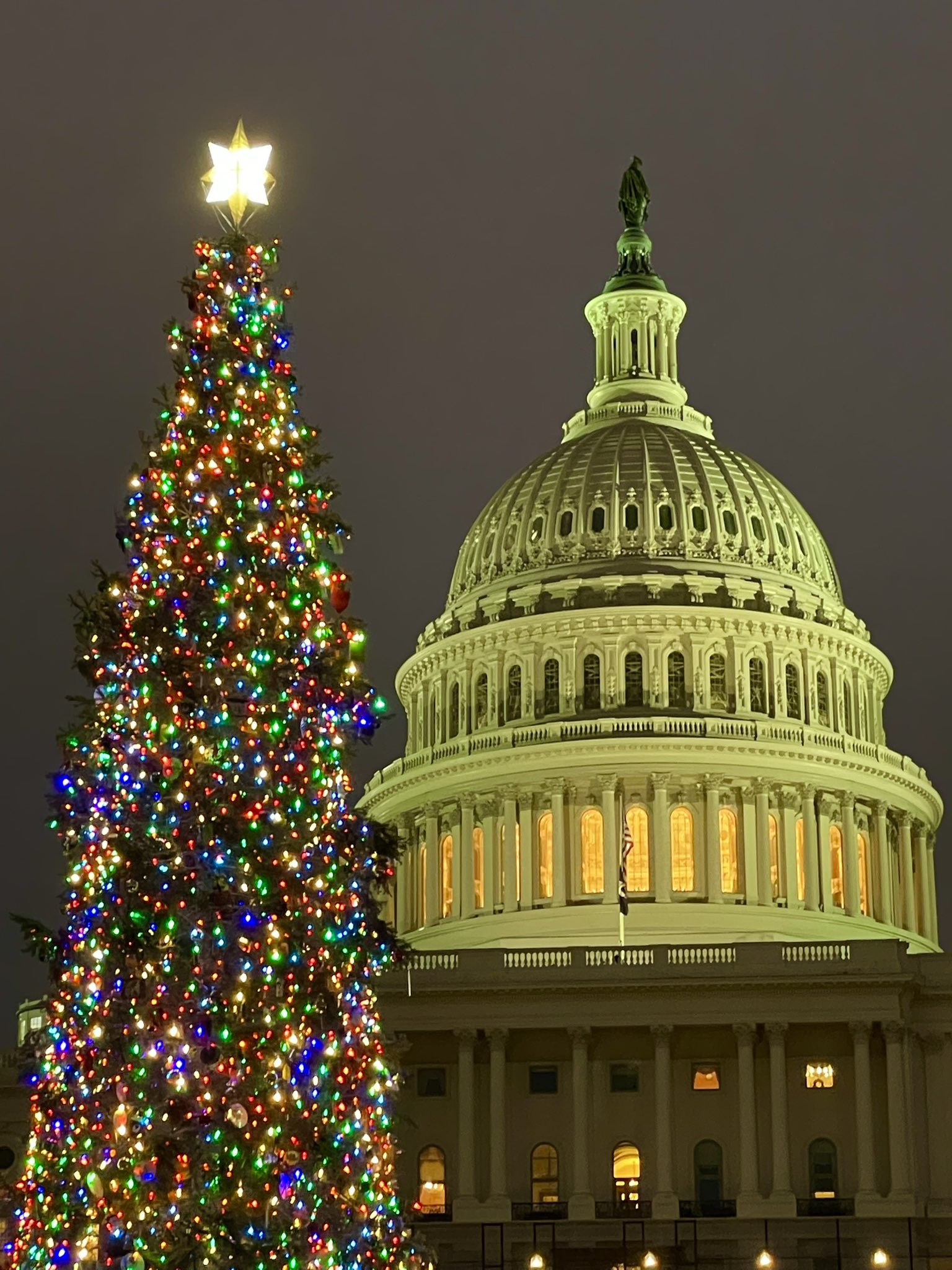 christmas tree lighting capitol dc