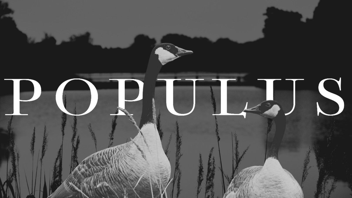 PopulusMag's tweet image. Rigorous. Intellectual. Always political - Populus is a forthcoming magazine that rejects the status quo in pursuit of something better.

Accepting pitches that take a new view of, and offer unique interventions on, Canadian life/society/politics at submissions@populusmag.com