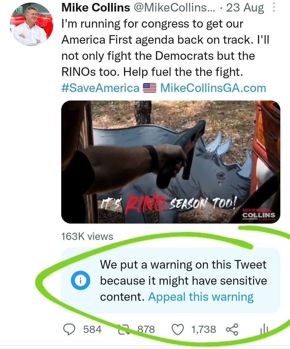 MikeCollinsGA's tweet image. Twitter says I can appeal. Why the hell would I want to remove this badge of honor? #BreakUpBigTech #RINOhunter