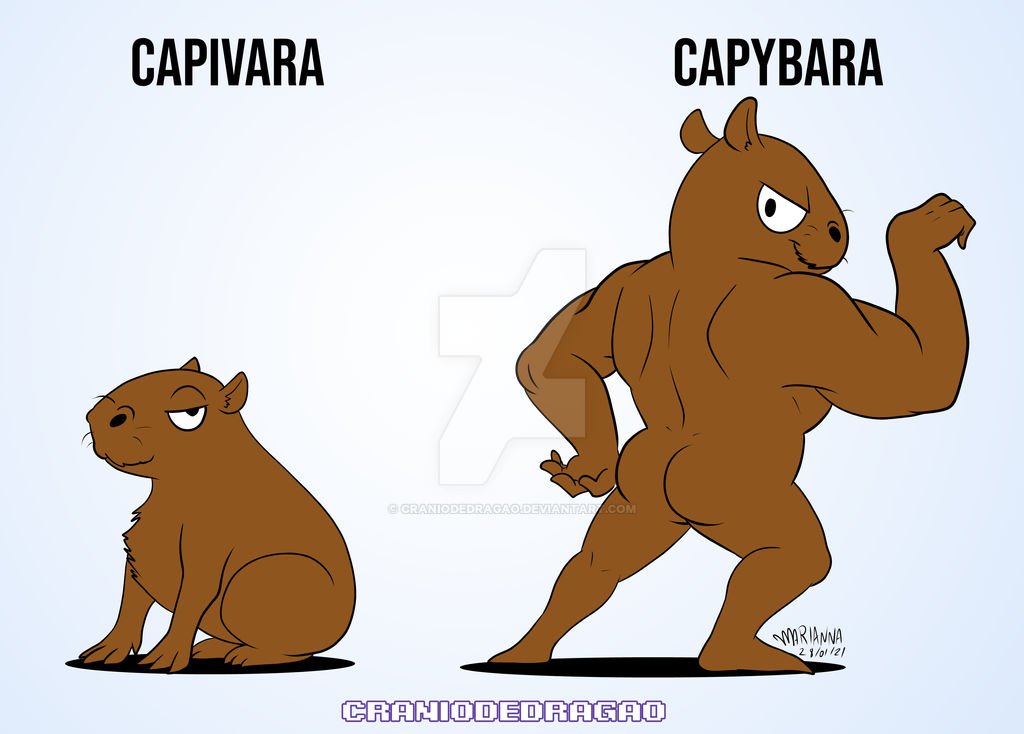 Sovina ✨ tweet media