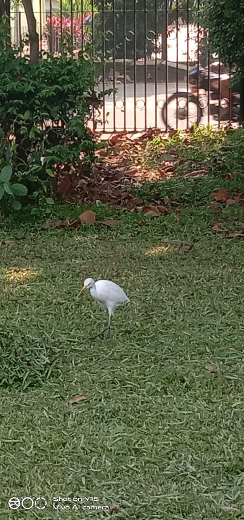 Themes to #haiku to @ #TheDailyHaiku 
Daily Themes: TWISTED &amp; A NEW YEAR  
Weekly Theme: A MOMENT IN TIME
Season Word: HOLLY
Holiday season photo prompts @ facebook.com/groups/THEDAIL…
#WritingCommunity #writing #poetry #micropoetry <a href="/StanPhillips20/">Stan Phillips</a> <a href="/WillDFord/">Will Ford</a> <a href="/AmitaPaulIAS/">Amita Paul IAS</a> <a href="/BediMona/">Mona Bedi</a>