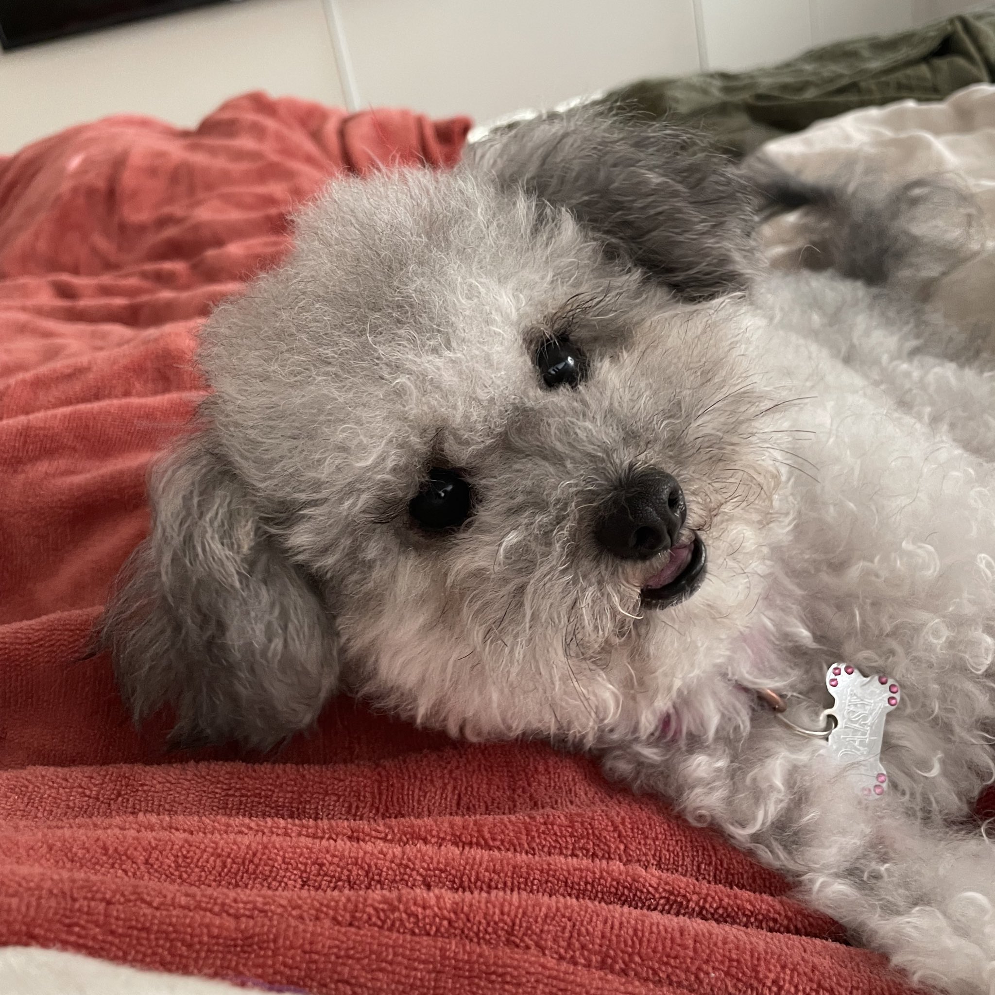 TW Pornstars - 2 pic. Lydia Love 🦋. Twitter. they grow up so fast 🥺. 11:28 PM - 21 Dec 2021