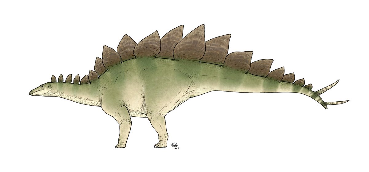 So here it is, my take on the #JurassicPark/#JurassicWorld stegosaurus colo...