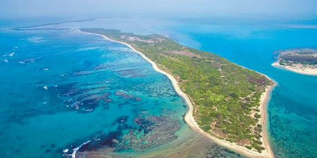 Gulf of Mannar corals to face threat if plan to grow invasive seaweed gets nod
primescholarslibrary.org/advances-fishe…