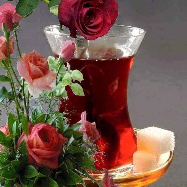 MustafaBebe20's tweet photo. @mamudo63 @mehmetkusnet @mehmetelgn10 @ismail_kaya_63 @eybgenclikspor @eyyubiyeampute @serdar_bsk @maksut5663 @AK_ENG_EKM01327 @memetcetingoz @mustafatas34 @Os_Oktay https://t.co/NVYrruia6P
