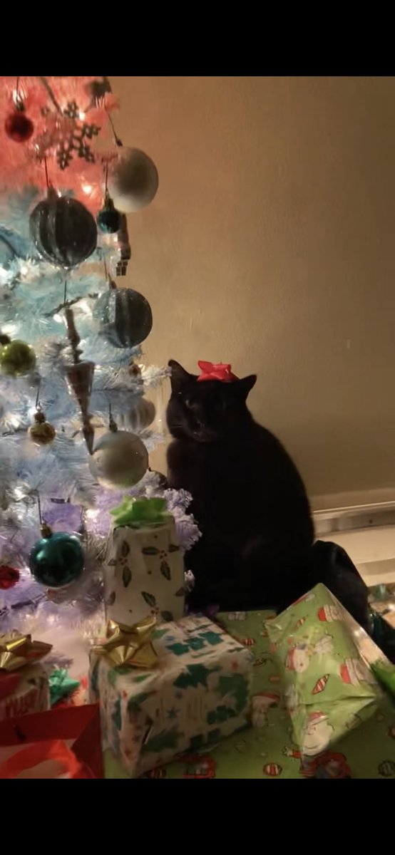 mbatm2009's tweet photo. ⁦@ReviewDork⁩ Does this count for a Christmas card LOL if so put me into the drawing. https://t.co/XohQPyZTbb