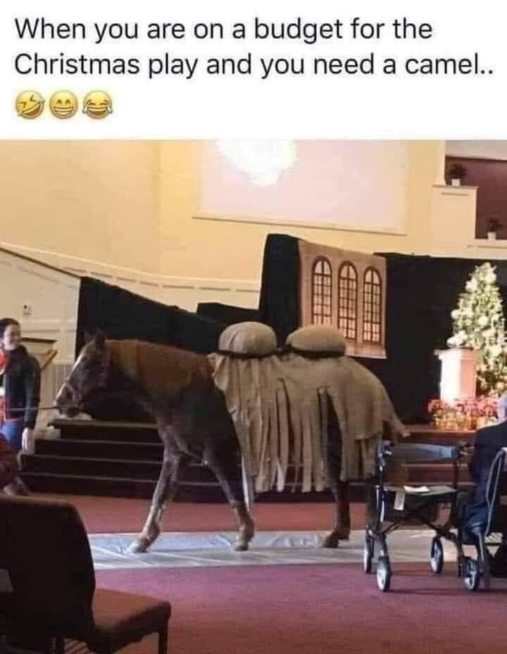 JeffRoper's tweet photo. This cracked me up. #camellight https://t.co/7RC5F14FHq