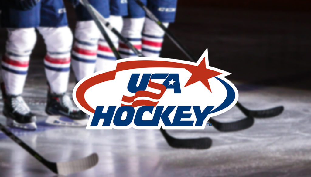 Centene Community Ice Center We Are Excited To Announce That Stlcic Has Been Selected To Host The 23 Toyota Usa Hockey Disabled Hockey Festival We Look Forward To The Blues Blind