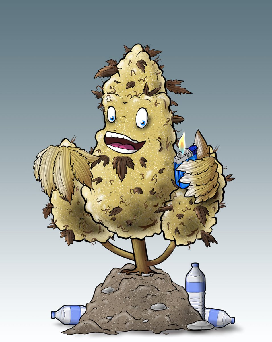 OGWeedNFT | Mint LIVE @0.5 SOL tweet media