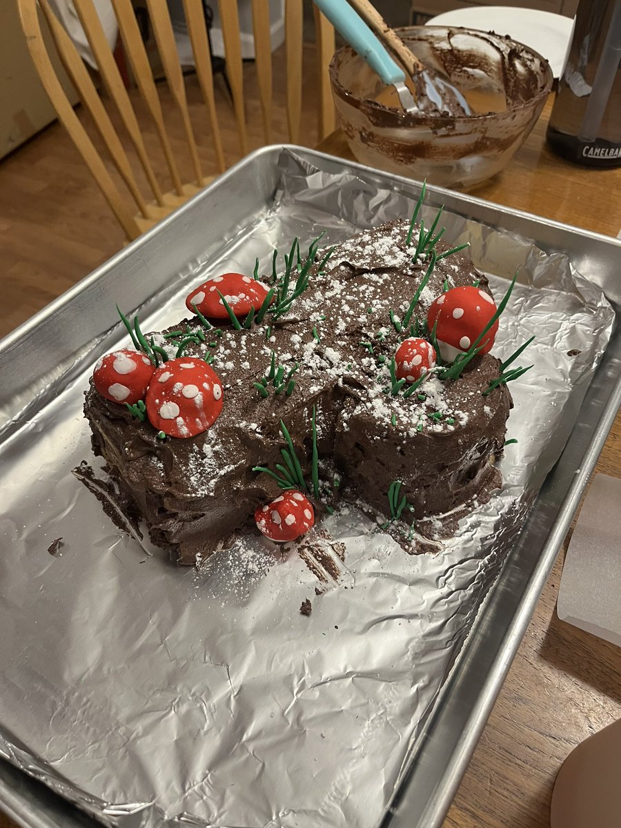 My fiancé and I made a Yule Log cake today 🥺