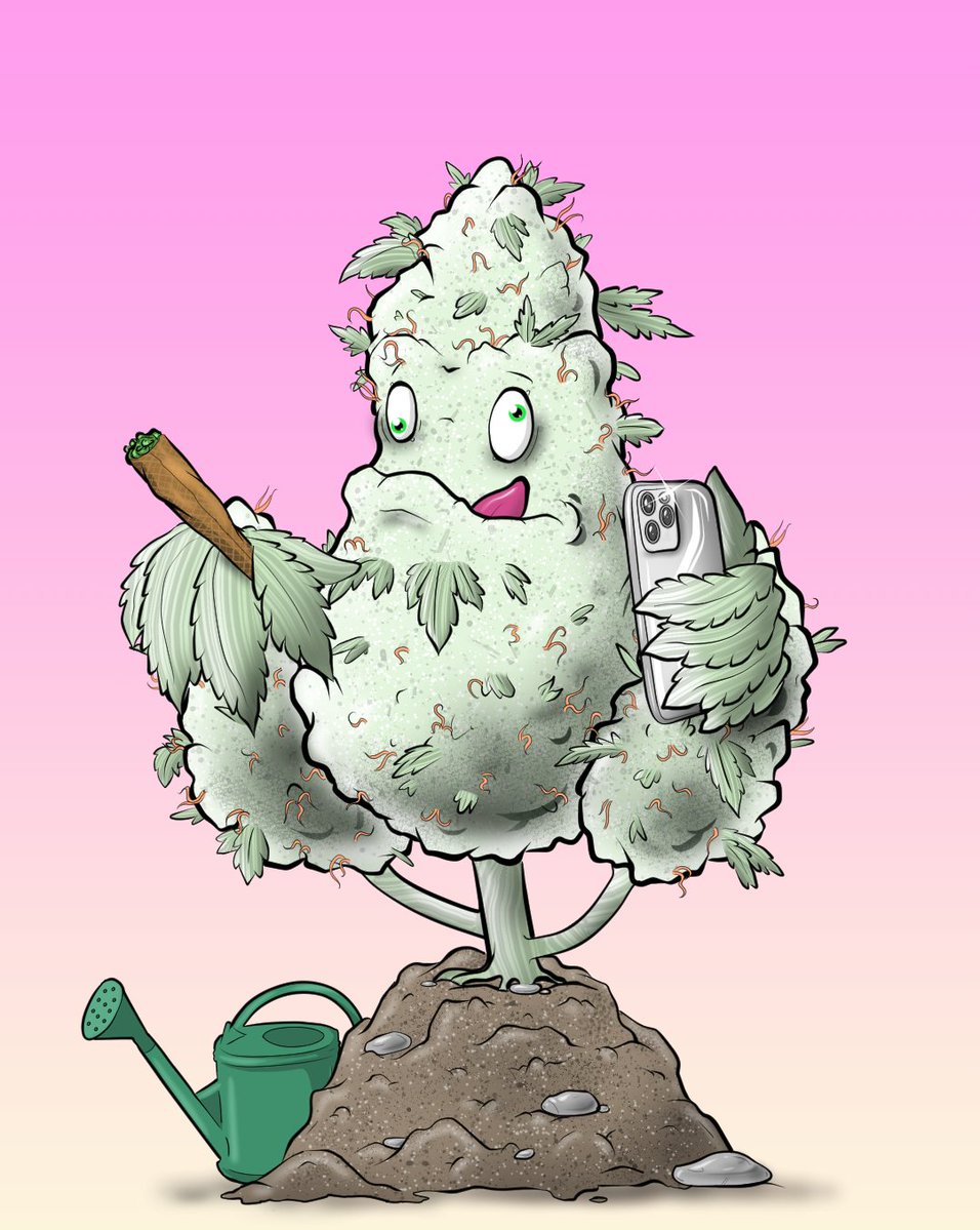 OGWeedNFT | Mint LIVE @0.5 SOL tweet media