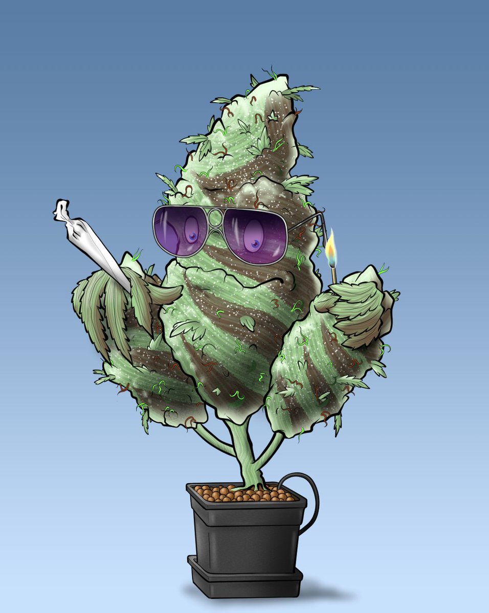 OGWeedNFT | Mint LIVE @0.5 SOL tweet media