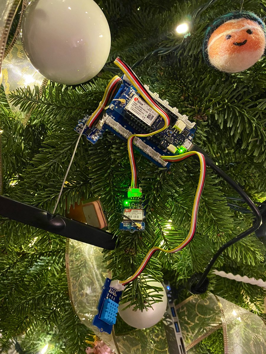 BrennaBelletti's tweet photo. Gonna tell my kids this was a Christmas ornament
#cellulariot #iot #arduino #soracom #ublox #nichehumor https://t.co/VfnAOc7gtb
