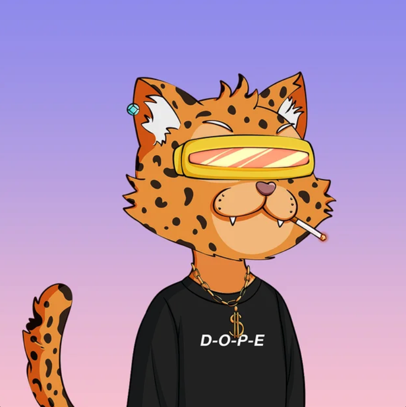 CryptoRyder_'s tweet photo. Flexing my favorite. From the diamond earring to the $neckalce, this is definitely my dopest of cats. 

#DOPECATS #STAYDOPE @DOPECATS #Solana #NFT https://t.co/MSf9VfOlq0