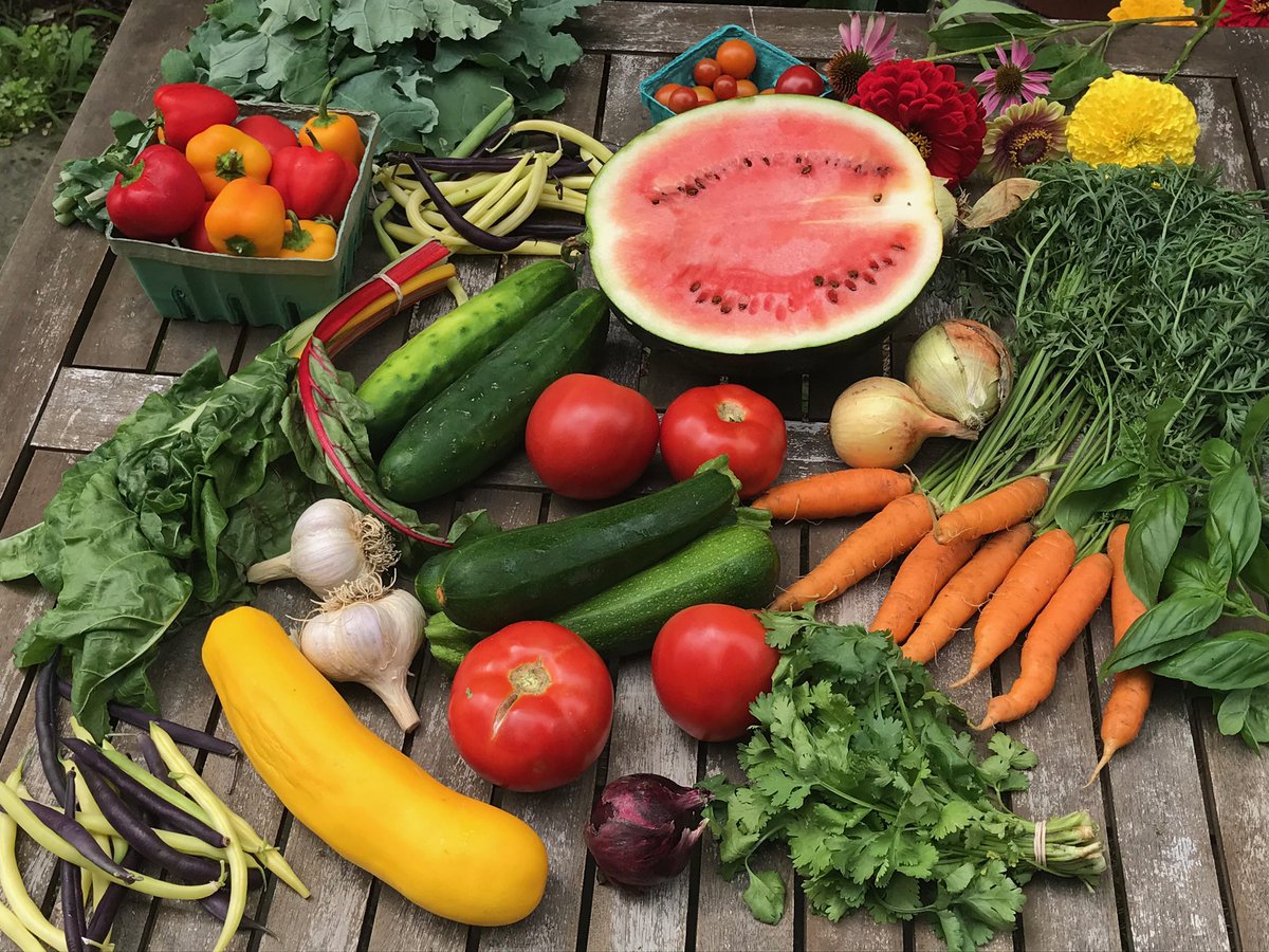 uvmIntHealth's tweet photo. Building a culture of wellness: Students @uvmvermont inspire others to choose nourishment, movement, gratitude, nature. https://t.co/2ClaTDDFH4 p:@JEFranz #uvmstrong #integrativehealth #wellness #nutrition #PhysicalActivity #gratitude https://t.co/OQotHKYG1d