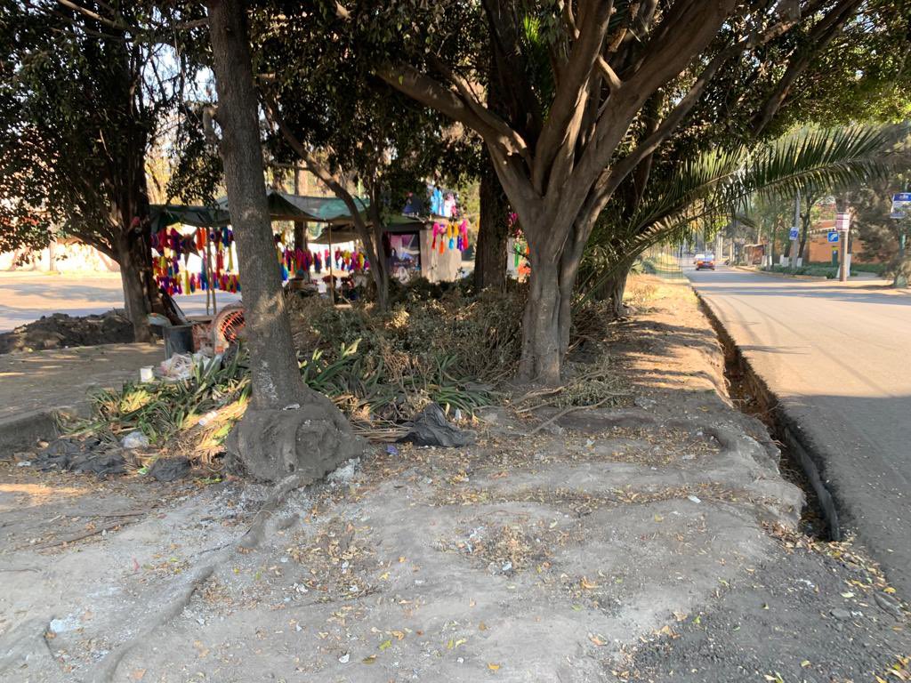 TerryGuindi's tweet photo. @mauriciotabe comenzó su gestión rompiendo calles, hay cascajo, máquinas paradas, dicen que no hay dinero para pavimentar, ha dejado un desastre, queremos que arreglen aquí en Prado Sur, Lomas @alcaldiaMHmx @claudiashein https://t.co/GHb0idQFTY