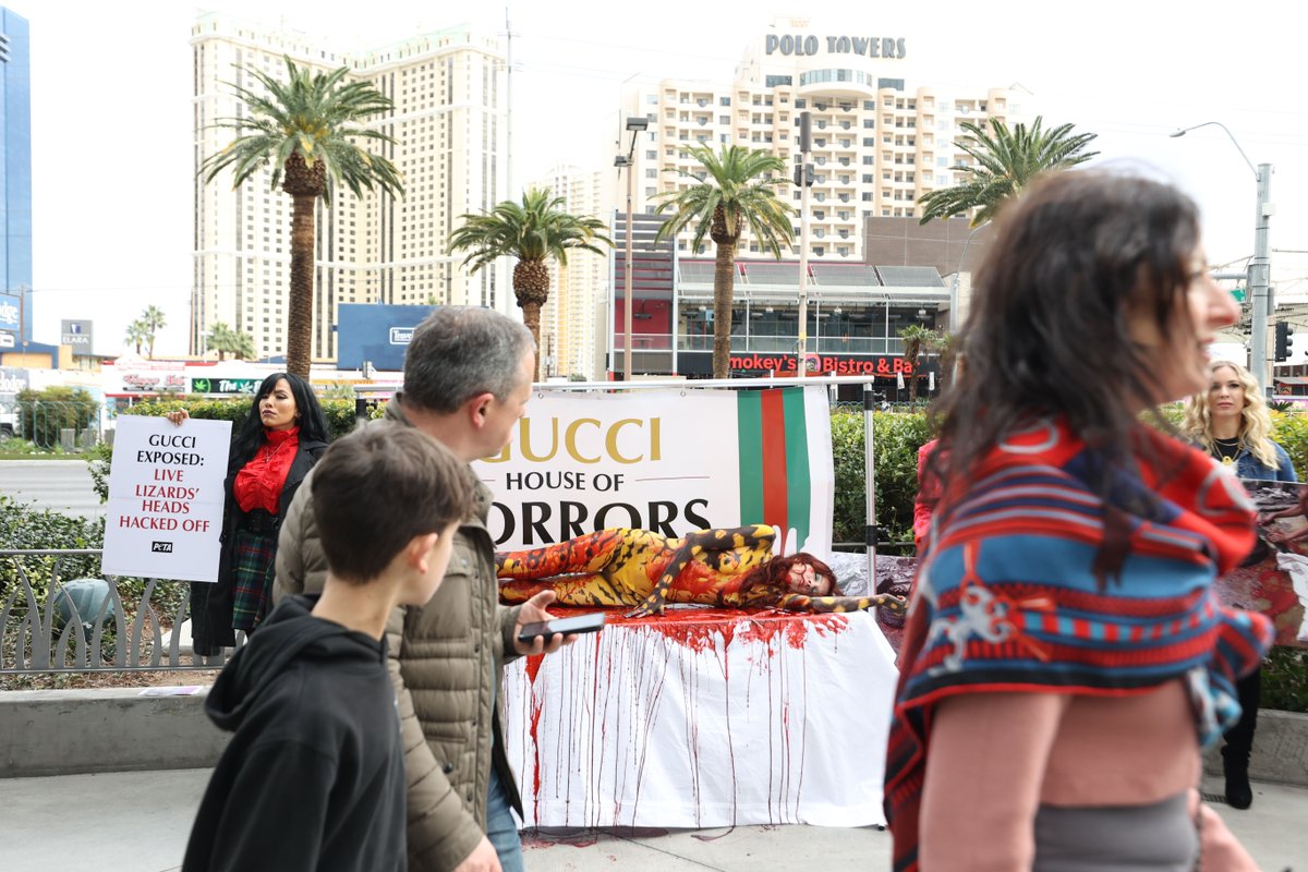 peta's tweet photo. ‼️ GUCCI HAS BLOOD ON THEIR HANDS ‼️ 
 
And now their sidewalk too. 

PETA activists are in #Vegas following the gruesome investigation into one of @Gucci’s exotic leather suppliers. https://t.co/8wrYW7PzxJ https://t.co/IflqZlmxlZ