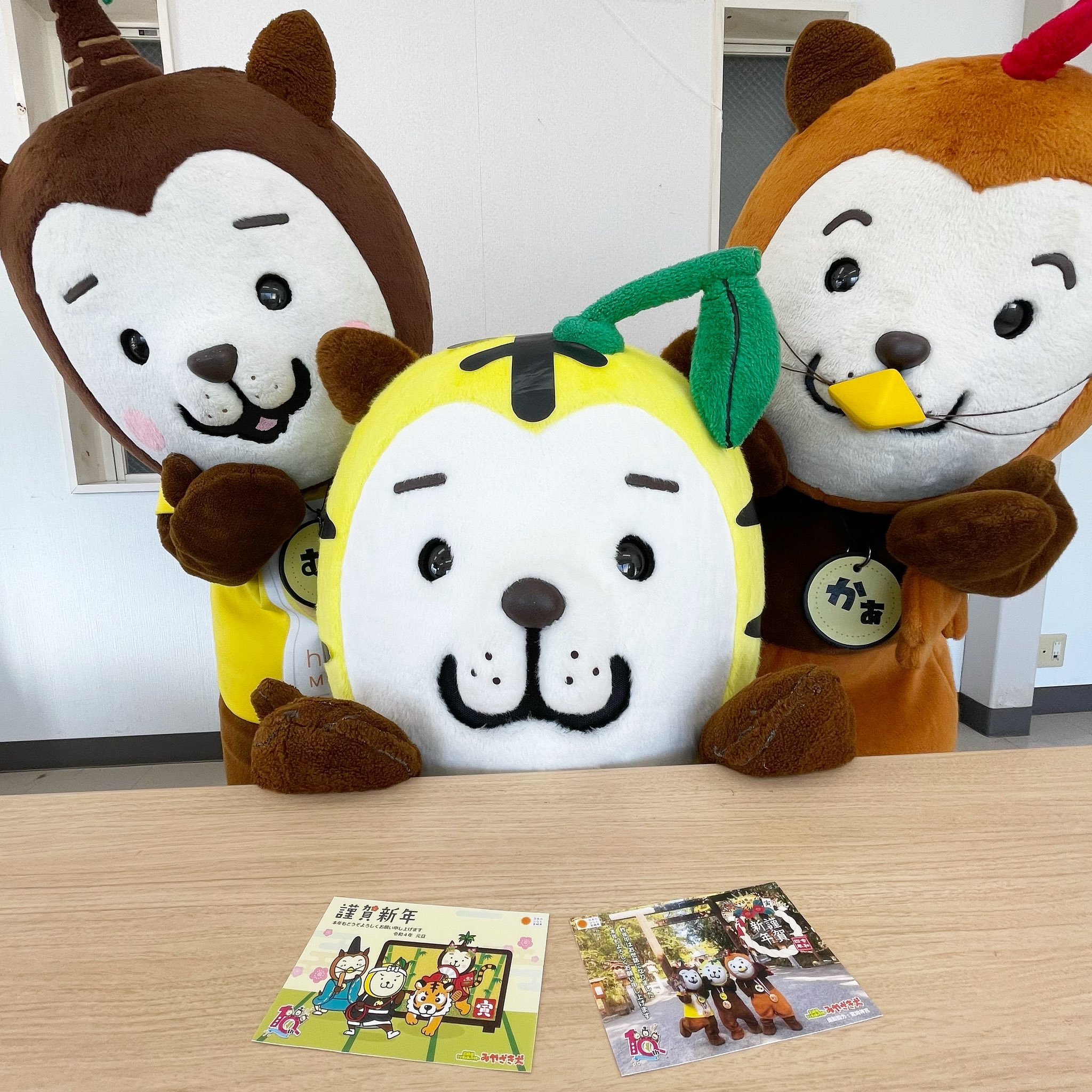 みやざき犬 公式 1111miyazakiken Twitter