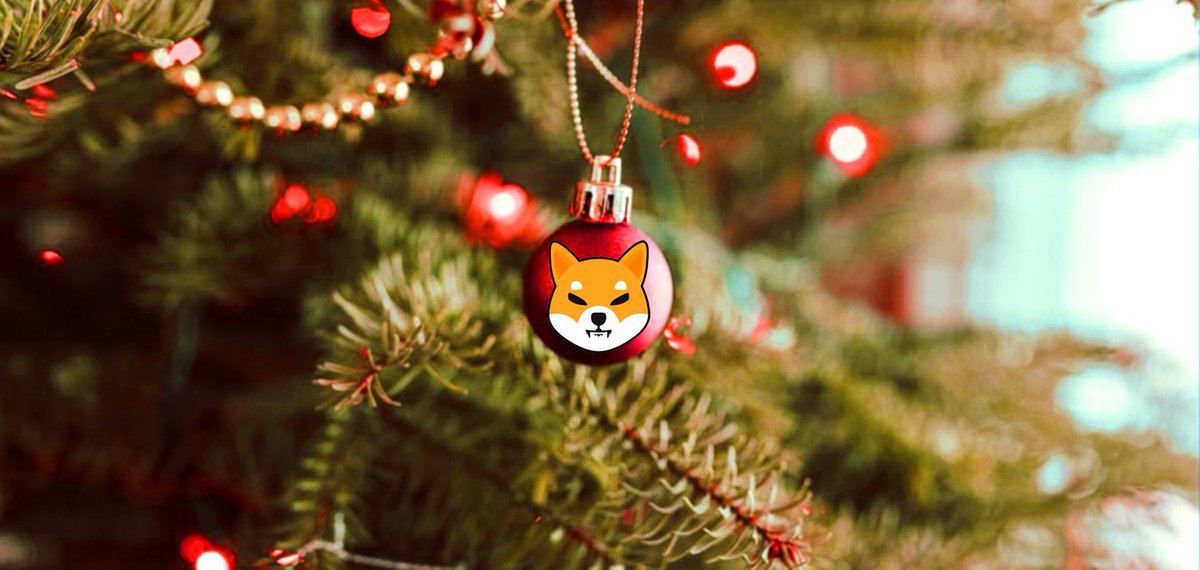Loving the Holidays with the #ShibArmy!