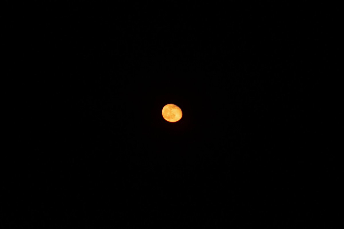 equutori's tweet photo. The moon tonight is drool worthy https://t.co/MIVOZ8zIq3