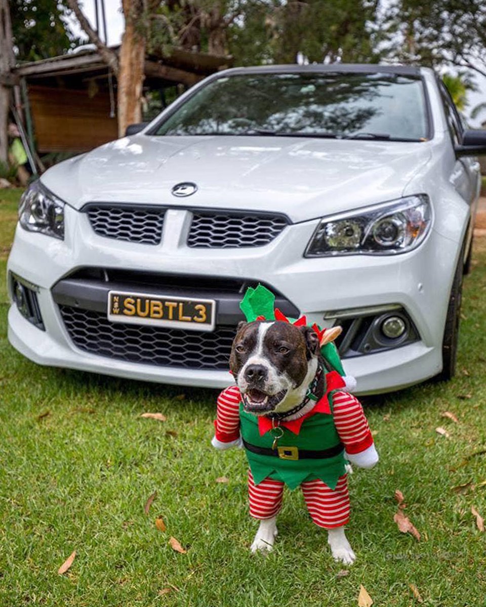 Santa's little HSV helper 🎅

📷 Michael Walsh