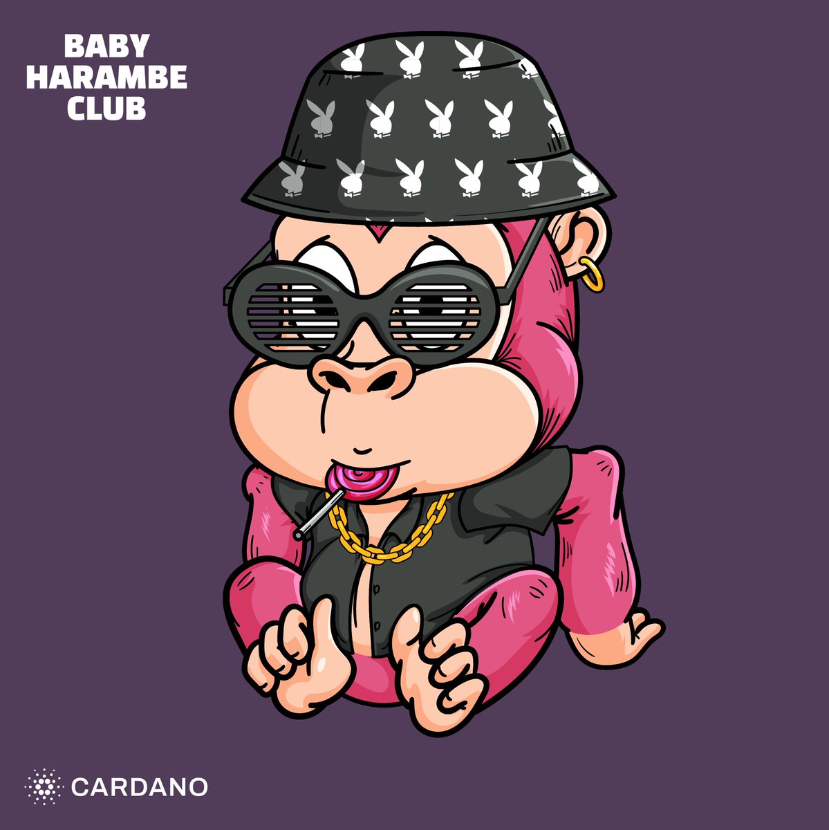 NxtBalance's tweet photo. @WinslerinaA Baby Harambe Club 

https://t.co/1BZ2fatGxq https://t.co/6UnsTO7YL3