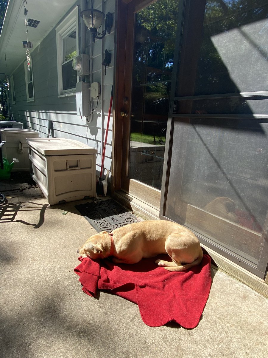 clara_kellerman's tweet image. 