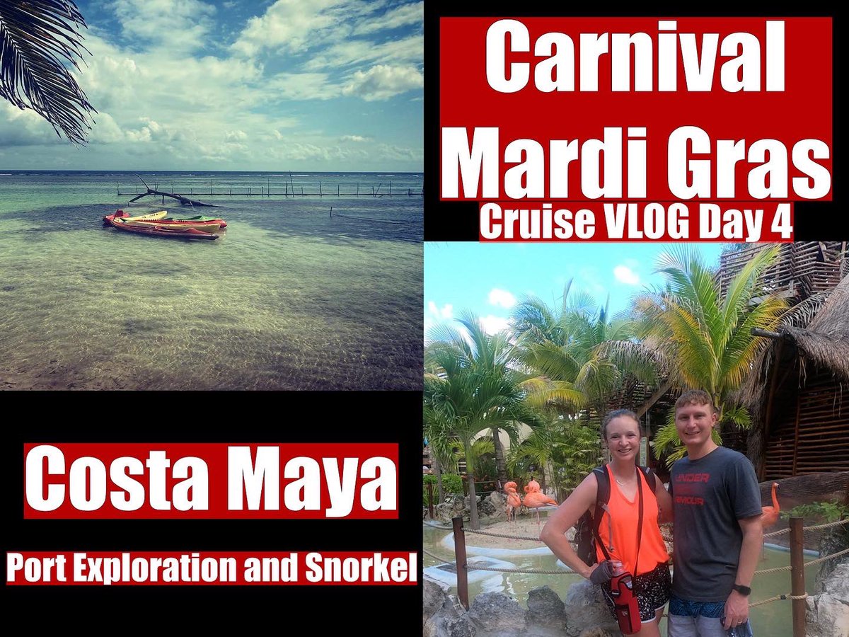 AGangAdventures's tweet photo. New video is up! It will focus on our 4th day at Costa Maya. We got to see an amazing reef and a port that has it ALL. 
 #CarnivalMardiGras #CarnivalCruise #CostaMaya #Mexico #CaribbeansLifeBeachClub #Snorkel #Shopping #CruisePort #agangadventures 

https://t.co/yiuBvtHMPK https://t.co/cp3P73XREQ