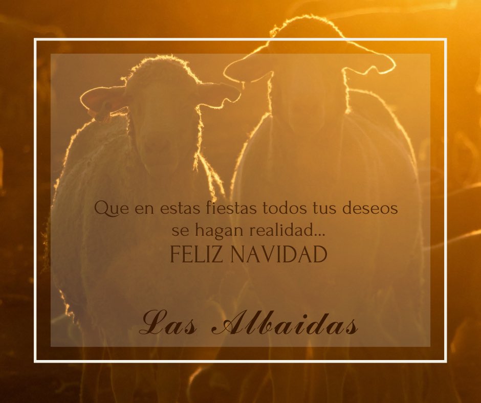 Las Albaidas tweet media