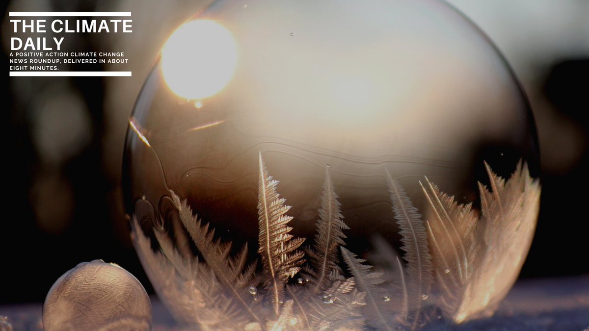 TheClimate.org tweet media