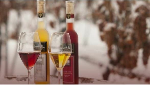 カナダ観光局 耳慣れない アイスワイン という言葉 ワイン が凍っているわけではなく 自然氷結させた特定品種のブドウから造られる琥珀色のワインで世界のワイン通が絶賛する逸品 ナイアガラ では沢山のワイナリーがあり 気軽にアイスワインを楽しめます