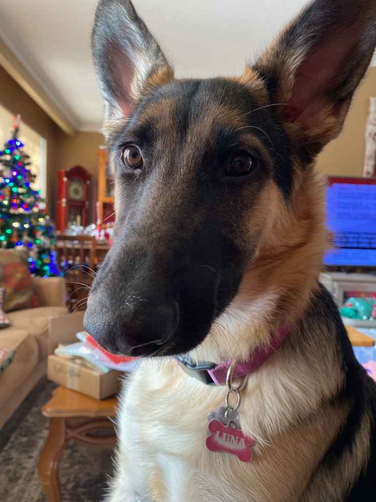 Where is my treat?
