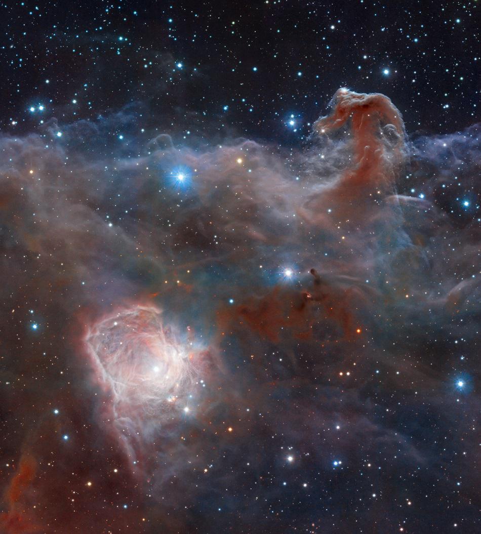 redditSpaceView's tweet photo. The Horsehead #Nebula. https://t.co/A8W5mfEksQ