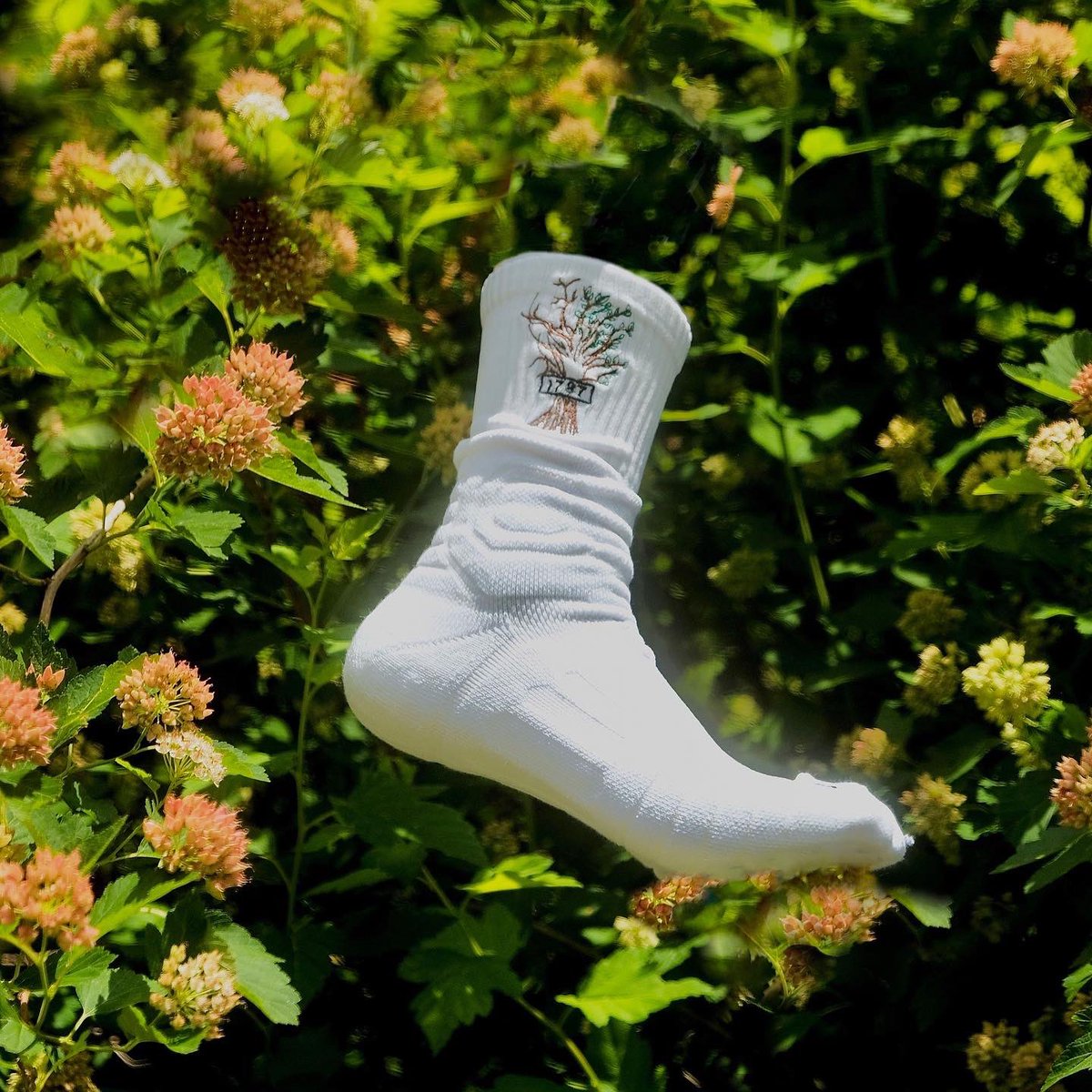 rooted1787's tweet photo. YNR Christmas  Sale 🎄‼️

“Family gives you the roots to stand tall and strong” 🌱

3 for $30 on all socks 🚨🧦

https://t.co/zjlX7xs6yX 

Promo Code: XMAS  21 

#ynrfam #smallbusiness #414milwaukee #stayrooted #BlackOwnedBusiness #beyourself https://t.co/LMgSgokNcY