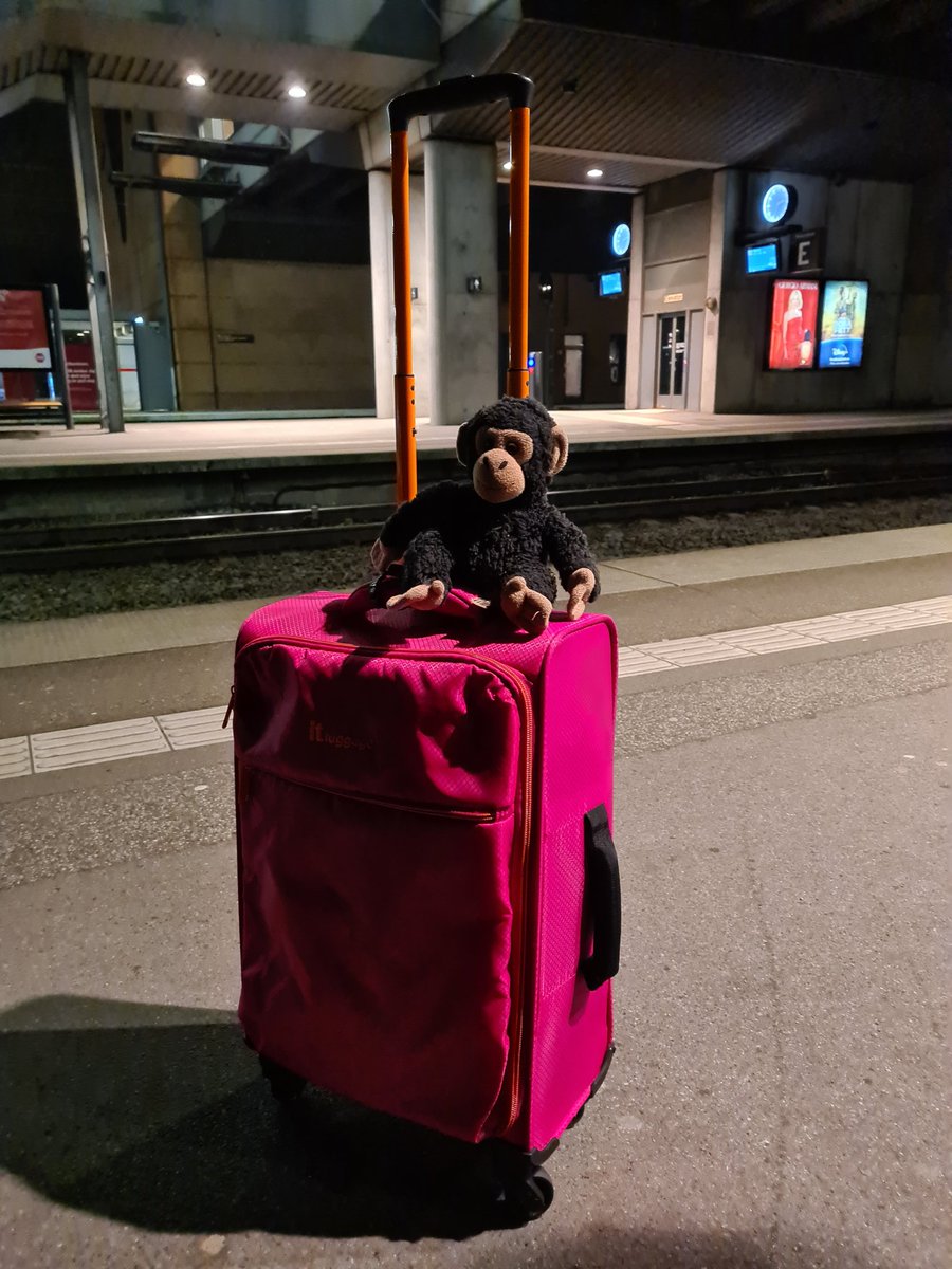 teresascanlon's tweet photo. Heading home for Christmas 🎄 a full two and a half weeks of no work! 🎁☃️🎅 Ireland here we come 🎉 https://t.co/c8UL0V2xfP