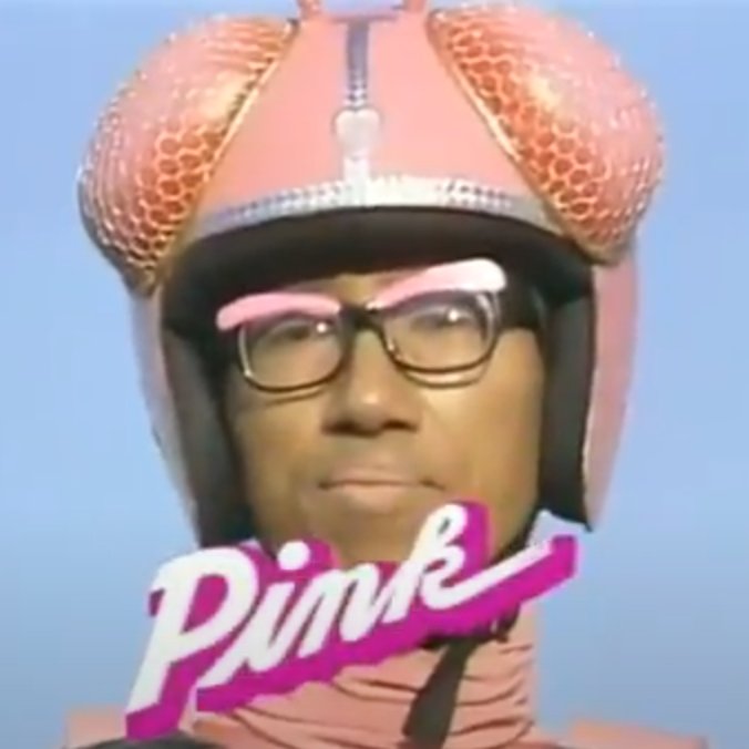 【たなな様ご検討中】ピンクオパール ロングイ × ベビー象ライダー⭐︎ 骨 on X