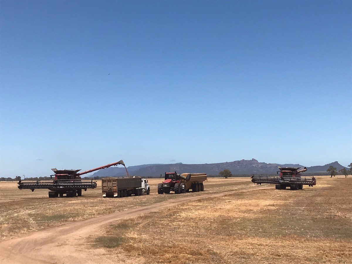 And just like that, 
we are all done 
with #harvest2021.
22 November - 22 December
<a href="/VFFGrains/">VFFGrains</a> <a href="/CaseIHAus/">Case IH Australia</a> <a href="/CoolamonCB/">Coolamon</a> #womeninharvestcomp