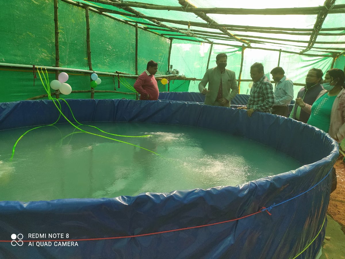 Inauguration of Biofloc units in Begunia block with the support of Mission Shakti &amp; Odisha Livelihood Mission. WSHG members will hugely benefit from this pisciculture initiative. <a href="/DMKhordha/">District Magistrate Khordha</a>