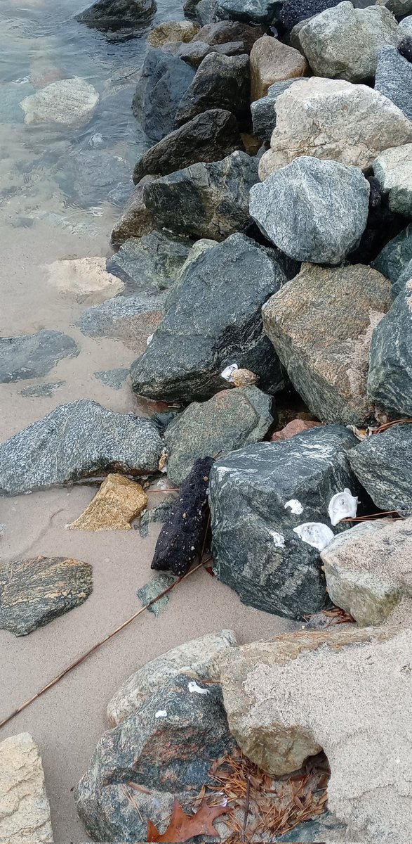 sherilla4's tweet image. #NN
#NorthernNeck
#WinterWater