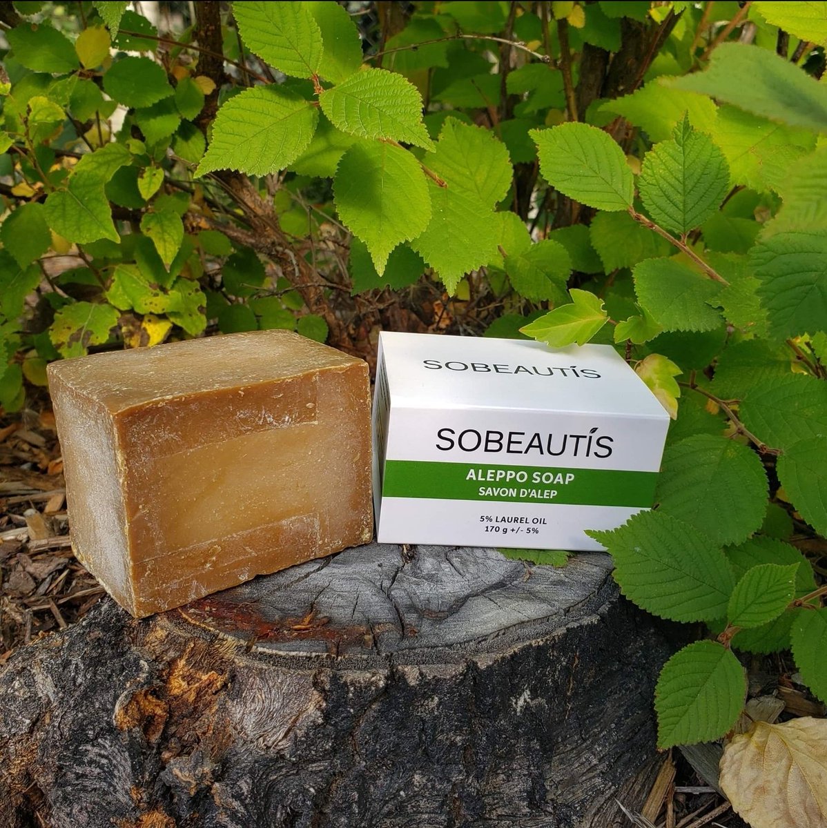 sobeautis's tweet photo. Experience the benefits of Aleppo soap.

Aleppo soap is a natural, plant-based product that will help nourish your skin. It also serve as an anti-dandruff shampoo, helping to moisturize the scalp to limit flaking. https://t.co/fjCnrBxOyI