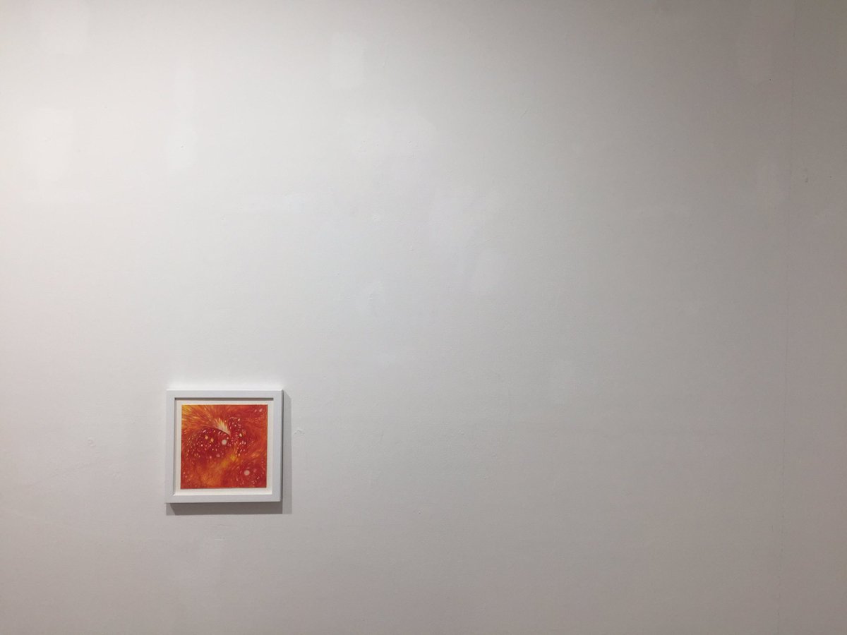 no_new_work's tweet photo. 시간이 훌쩍 가네요. 다정한 침해 전시 마지막날입니다. 집을 나서자 따수운 겨울볕이 예쁘네요. #다정한침해 #노뉴워크 #공간일리 #전시마지막날 https://t.co/GR3dHMJMwf