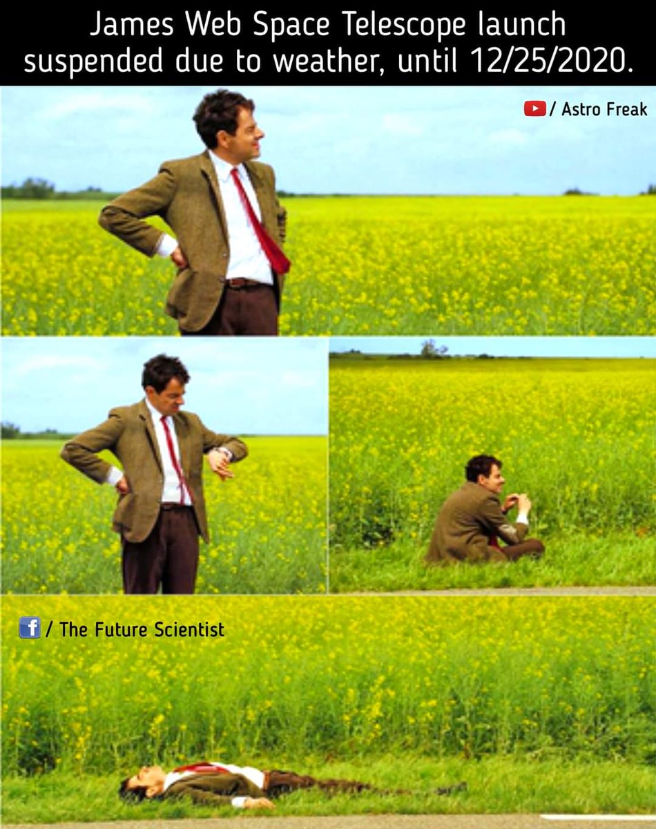 Wade🍧 tweet media