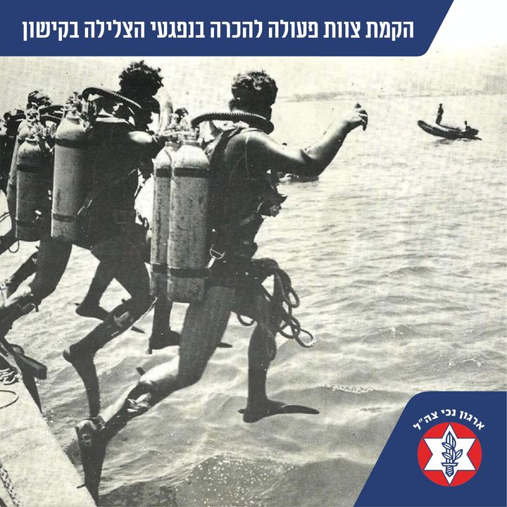 ארגון נכי צה"ל tweet media