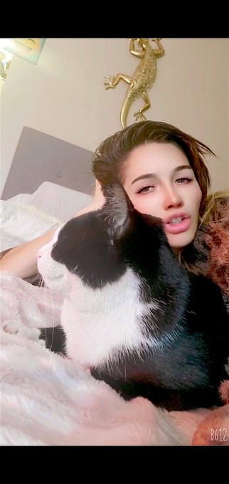 😼🐱😽My new kitty, I just rescued her. I encourage you to do the same 😼🐱 #nadeeavolianova #CatsOfTwitter<a href="/tag/love"class="tags"><span>#love</span></a><a href="/tag/vegan"class="tags"><span>#vegan</span></a><a href="/tag/rescue"class="tags"><span>#rescue</span></a><a href="/tag/topmodel"class="tags"><span>#topmodel</span></a><a href="/tag/loveanimals"class="tags"><span>#loveanimals</span></a><a href="/tag/catsoftwitter"class="tags"><span>#catsoftwitter</span></a>