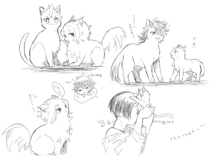 マイ武🐈 