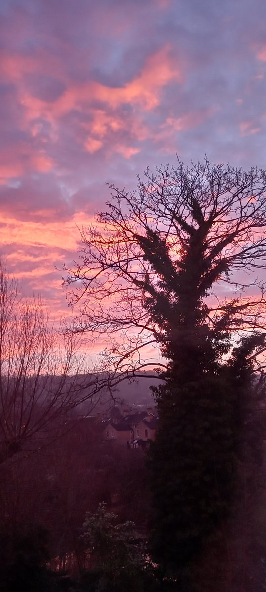 Oh what a beautiful morning....