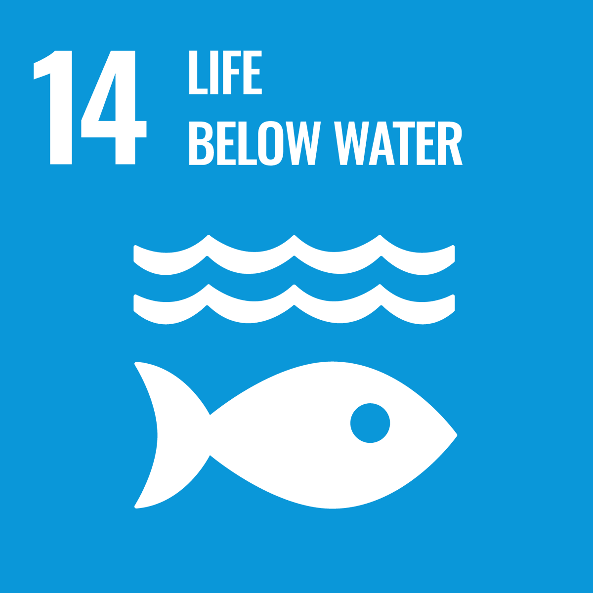 globalpolicy's tweet photo. Welchen #FortschrittWagen?
#SDGs &amp; #Agenda2030 im #Koalitionsvertrag 2021–2025🚦

➡Was steht drin zu #SDG14: #Ozeane erhalten?
Wir haben es in unserem neuen Briefing zusammengefasst: https://t.co/B0l6B647dy

#Ampel #Klimakrise #ClimateActionNow  #WorldOceanReview #recoverbetter https://t.co/hpWPj2NL2P